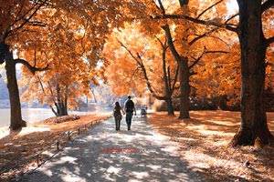 玉渡山風(fēng)景區(qū)在河北嗎？